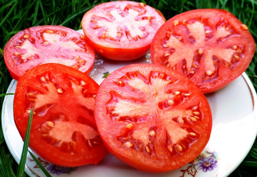 Плоды томата Белый налив