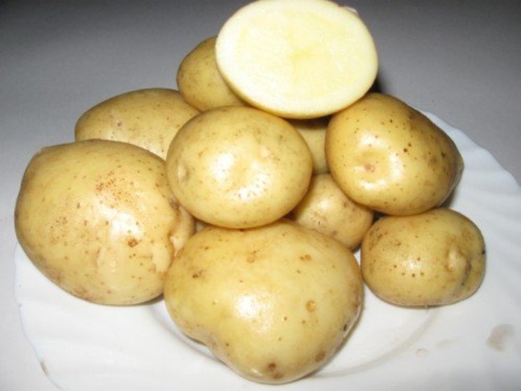 Клубни картофеля Адретта