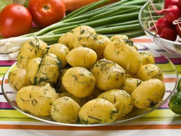Полезные свойства картофеля Импала