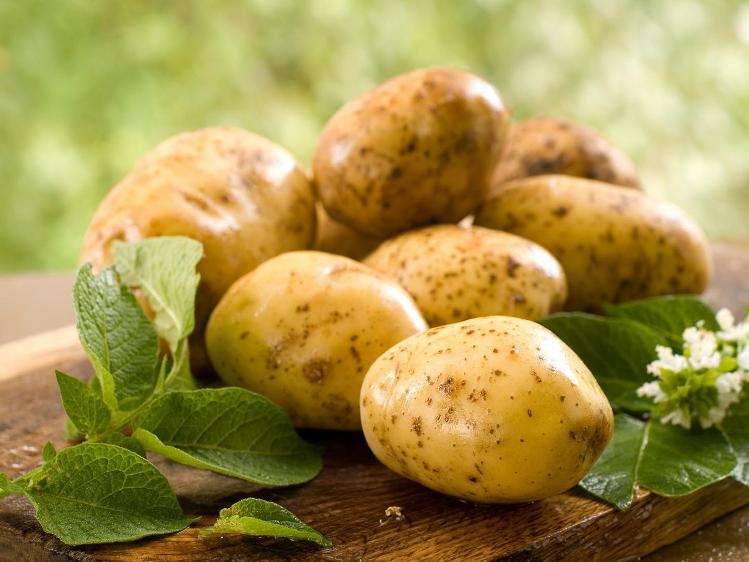 Достоинства и недостатки картофеля Лорх