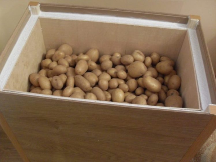 Хранение урожая картофеля
