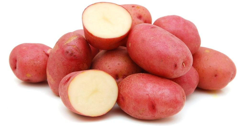 Сорт картофеля Рубин