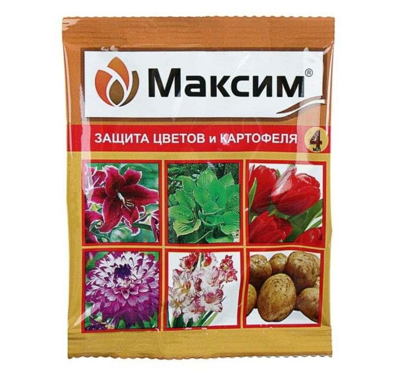 Препарат Максим - защита цветов и картофеля